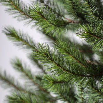 Novogodišnja jelka Cedar pine 210cm 